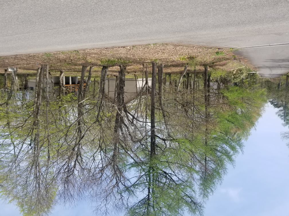 ひがし不動産】白河市で土地、一戸建てをお探しはひがし不動産へ